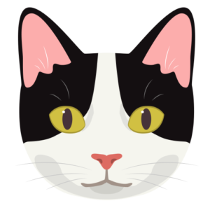 Release Notes, Kucing Item Putih – Version 1.1 (Mar 2017) - LuckyTrue Blog